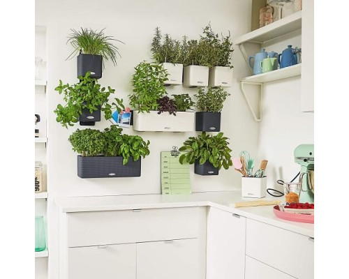 Умный вазон (кашпо и горшок) Green Wall Home Kit Glossy Красный для цветов и растений