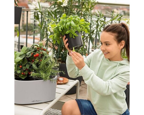 Розумний вазон (кашпо та горщик) Кашпо Lechuza Pila Growpot Color світло-сірий для квітів та рослин