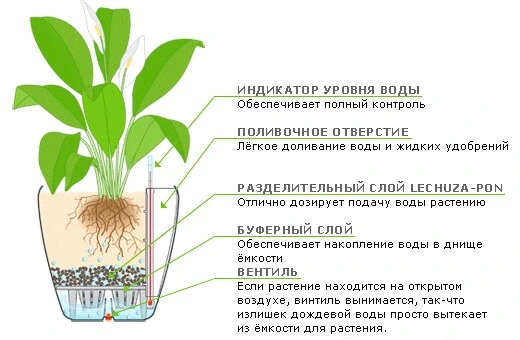 Кашпо с гидросистемой Lechuza